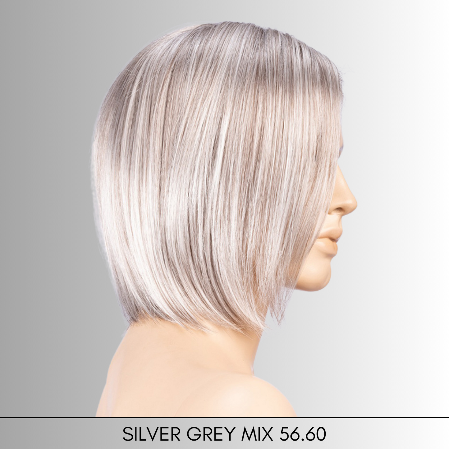 Rule -Elements Collection by Ellen Wille