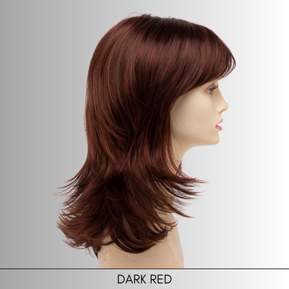 Nadia (Petite) - Synthetic Wig Collection by Envy