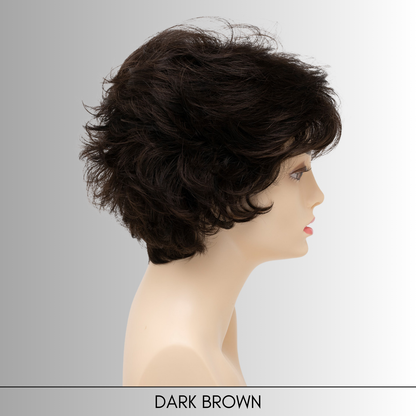 Bryn - Synthetic Wig Collection by Envy