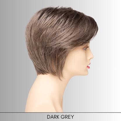 Chantel - Synthetic Wig Collection by Envy
